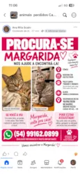 Margarida