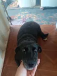 Millu