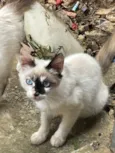 N tem, é da rua 