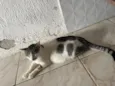 N tem, é da rua 