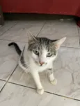 N tem, é da rua 