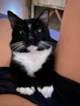 Tom