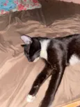 Tom