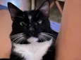 Tom
