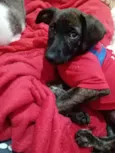 Matilda
