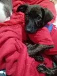 Matilda