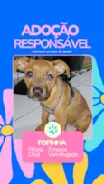 Fofinha