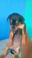 não tem nome