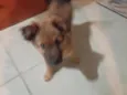 spike