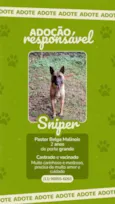 Sniper