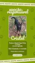 Cristal