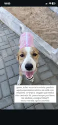 Não reconhecido