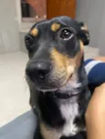 Isadora