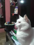 Charlie