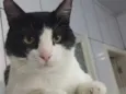 Fred