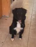 Kira