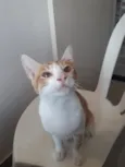 Osíris 