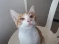 Osíris 