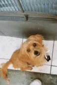 Marley