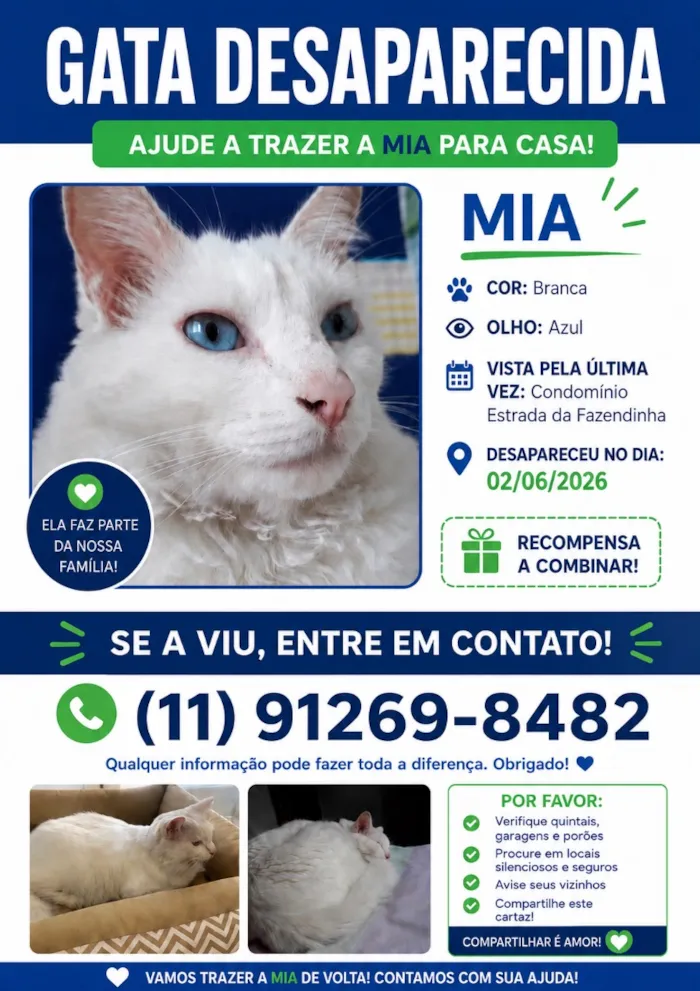 Gato raça SRD-ViraLata idade 6 ou mais anos nome Mia