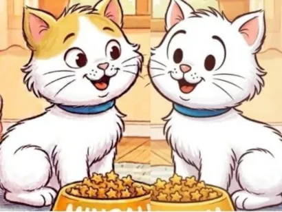Gato raça SRD-ViraLata idade 2 a 6 meses nome Dois irmãos