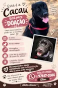 CACAU