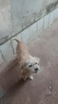 Princesa