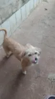 Princesa