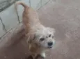Princesa