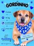 Gordinho 