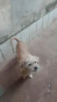 Princesa