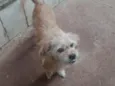 Princesa