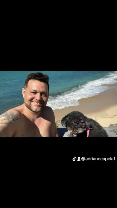 Cachorro raça Poodle idade 6 ou mais anos nome Duda 