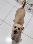 Mel