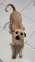 Mel