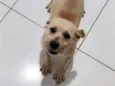 Mel