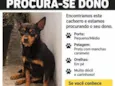 Não sei