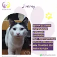Jimmy