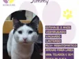 Jimmy