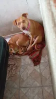 Lola