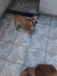 Lola