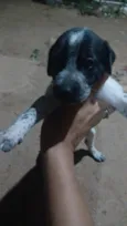 sem nome 