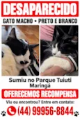Bebê