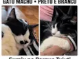 Bebê 