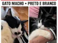 Bebê