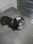 sem nome