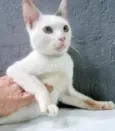 TONINHO FELIZ