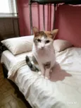 Samantha