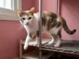 Samantha