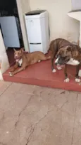 Max,Babi